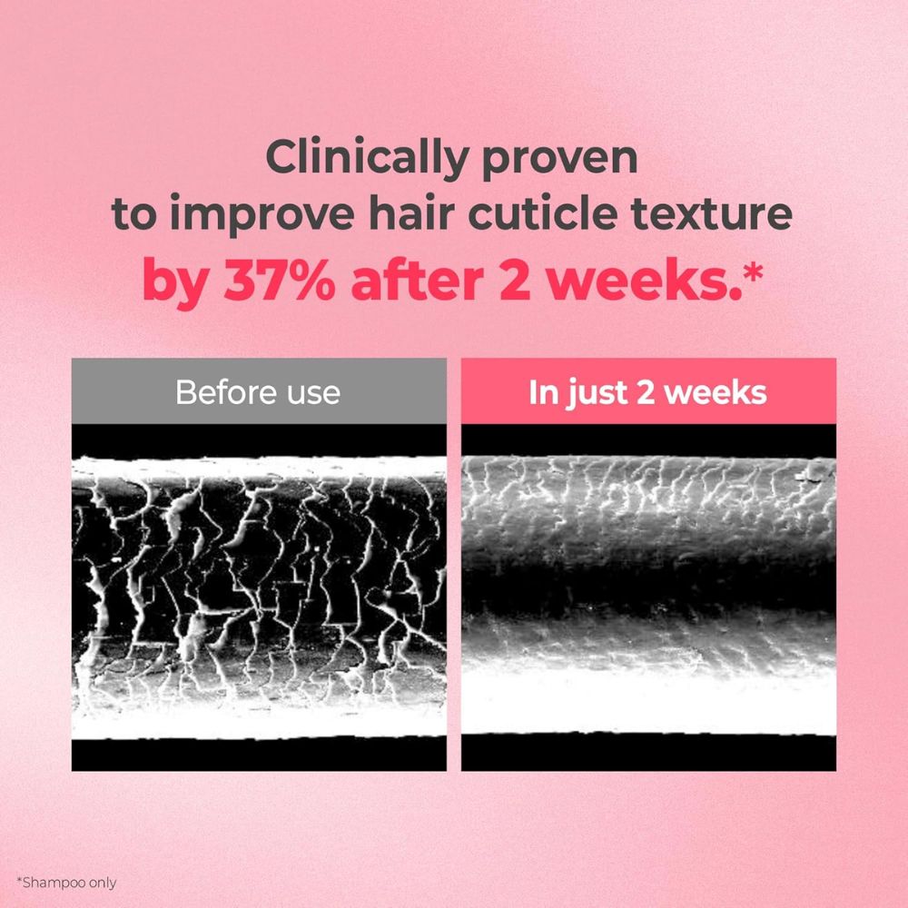 Kundal Protein Damage Care Shampoo